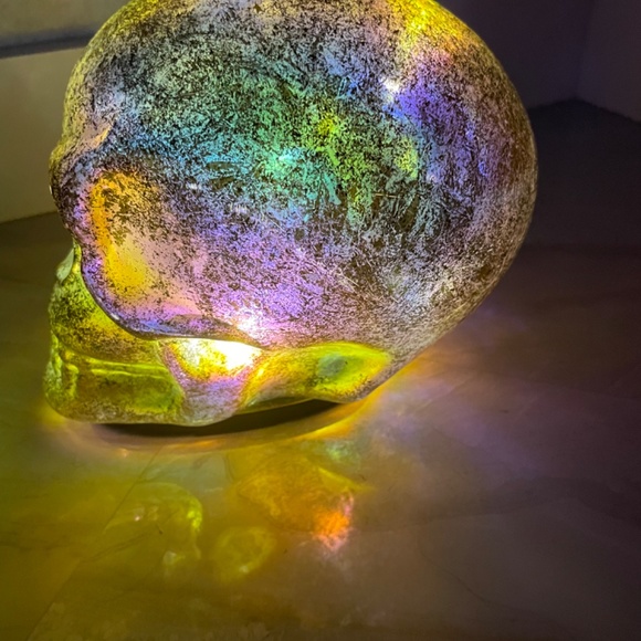 CHRISTOPHER RADKO SKULL - Picture 4 of 6